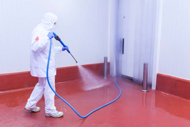 Best Patio and Deck Pressure Washing  in West End, NY